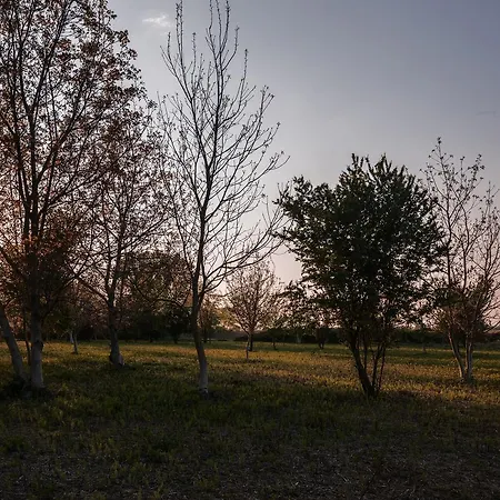 Cascina La Goliarda Hostel Curtatone